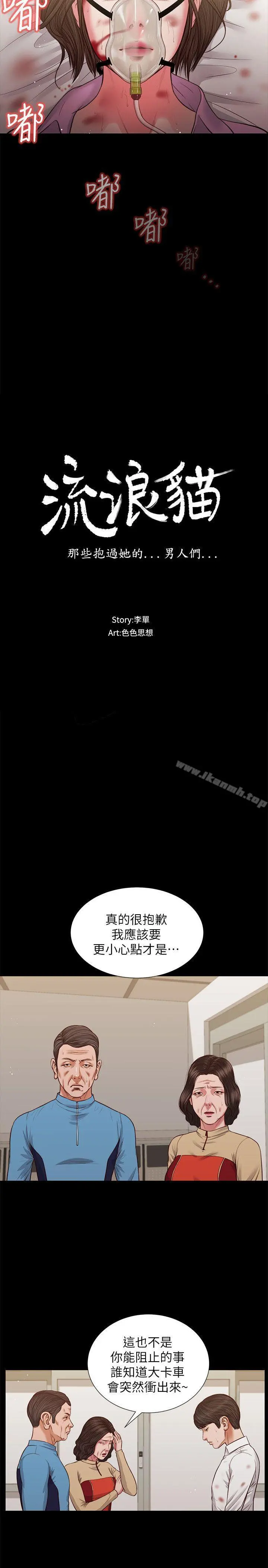 流浪猫 第39话-失去记忆 第3页