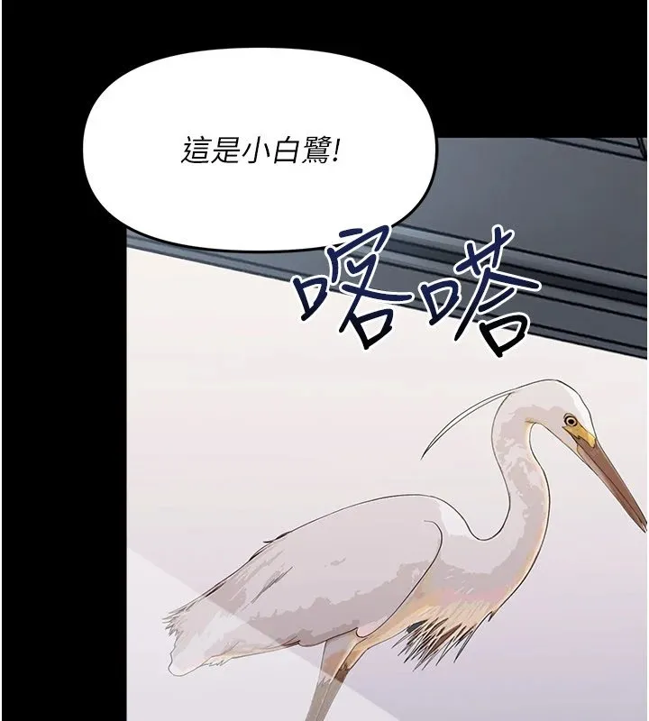 幼惑 第1话-长不大的小飞侠 第155页