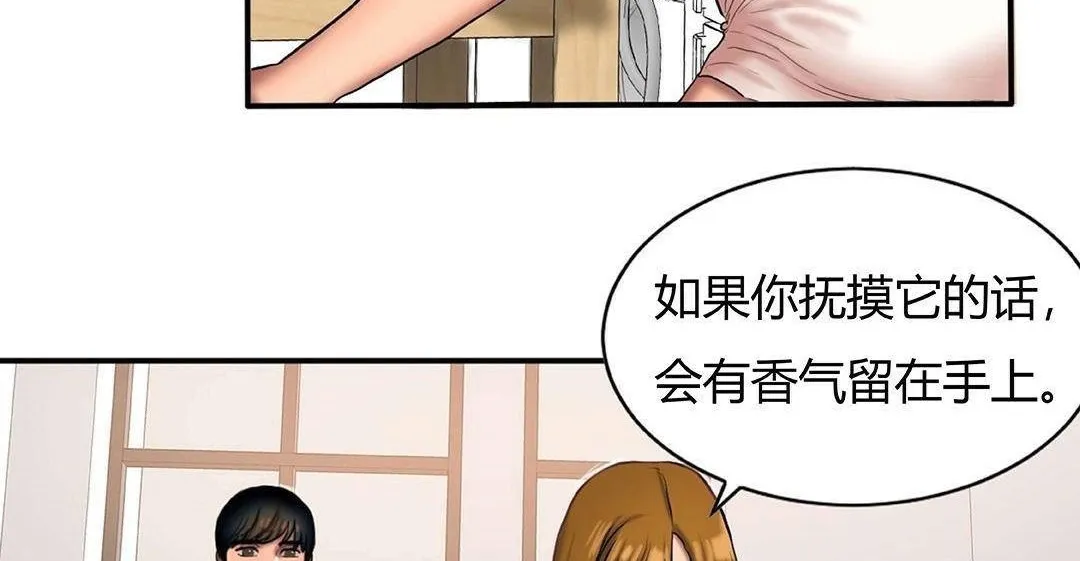 夫人的礼物 第42话 第29页
