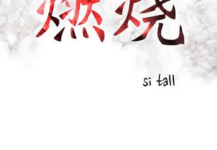 燃烧 第1章 第2页
