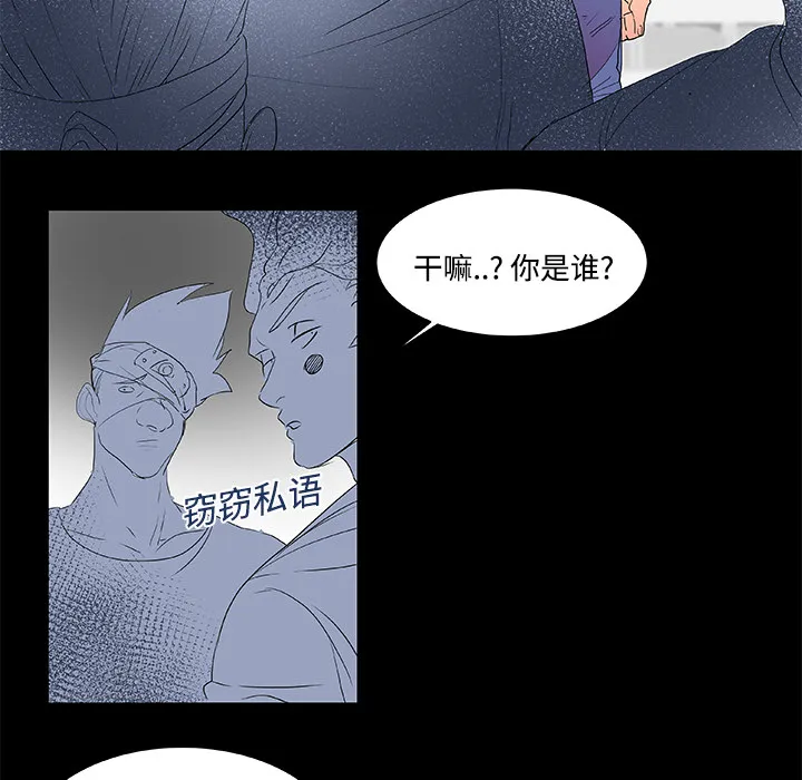 成人竞技场 第8章 第28页