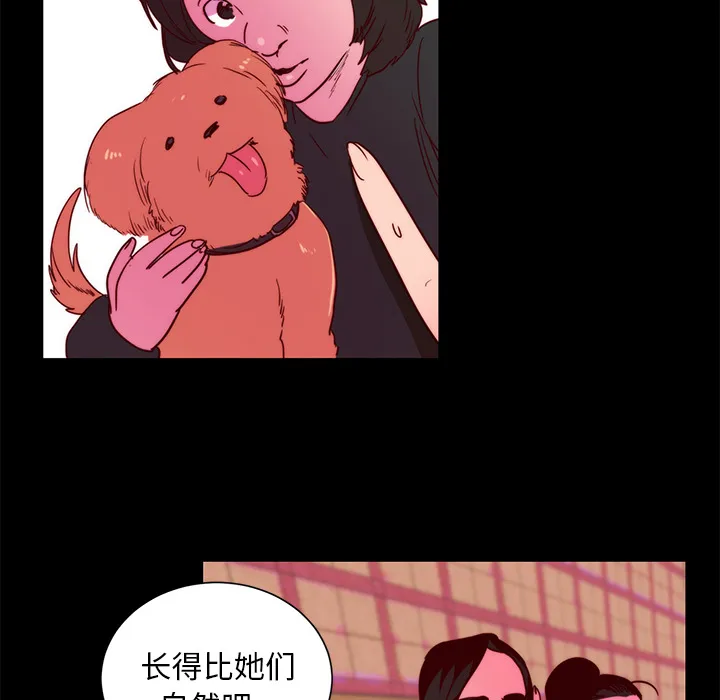 成人竞技场 第22章 第47页