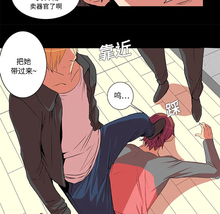 成人竞技场 第2章 第13页