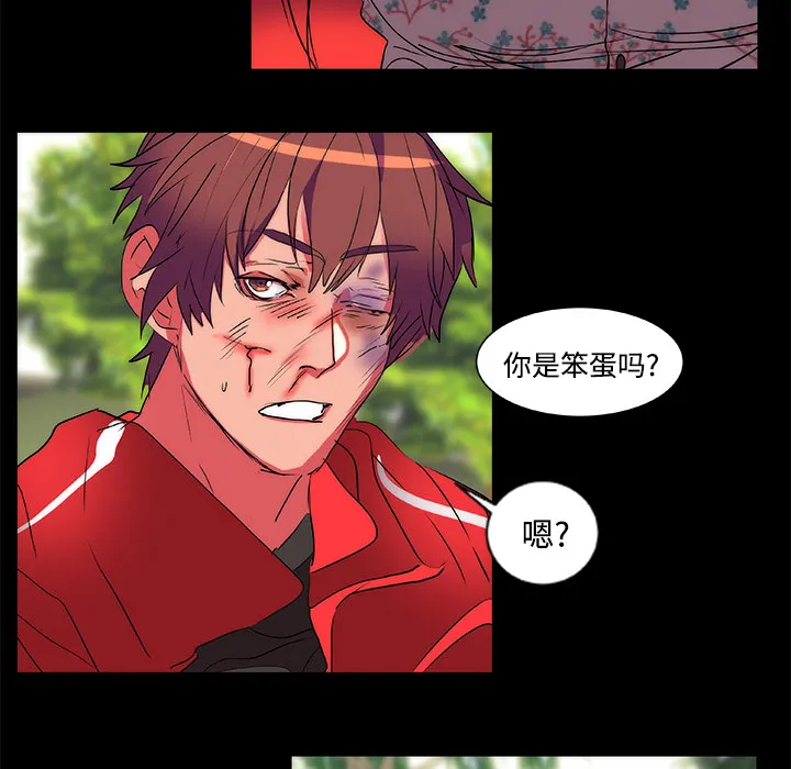 成人竞技场 第13章 第49页