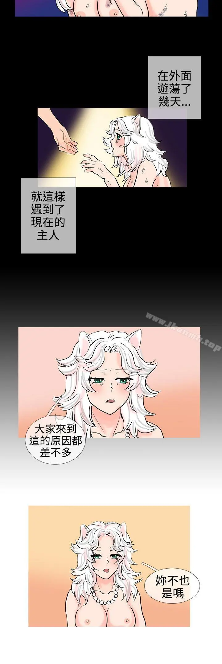 小野猫驯服手册 第11话 第9页