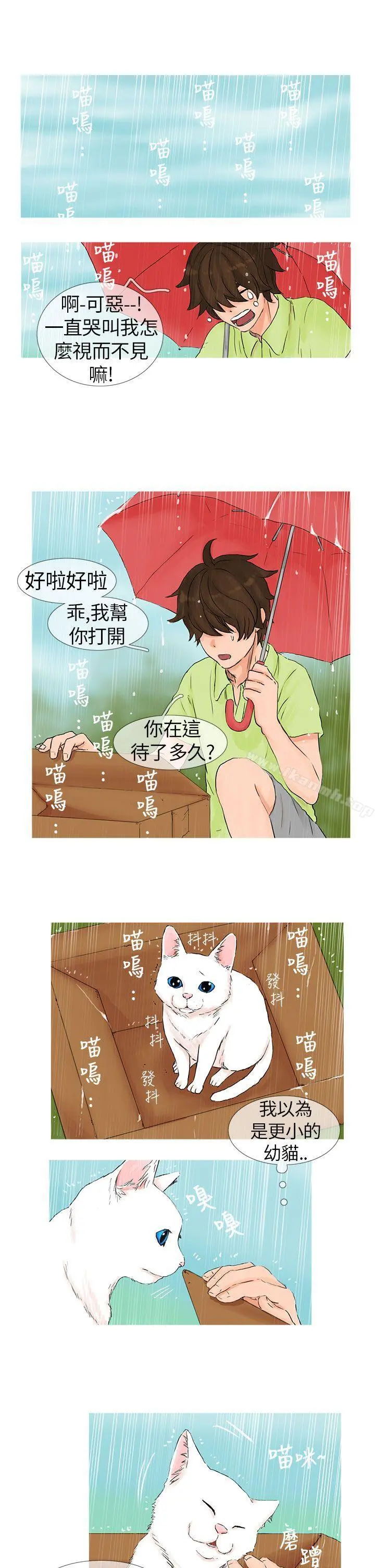 小野猫驯服手册 第1话 第5页
