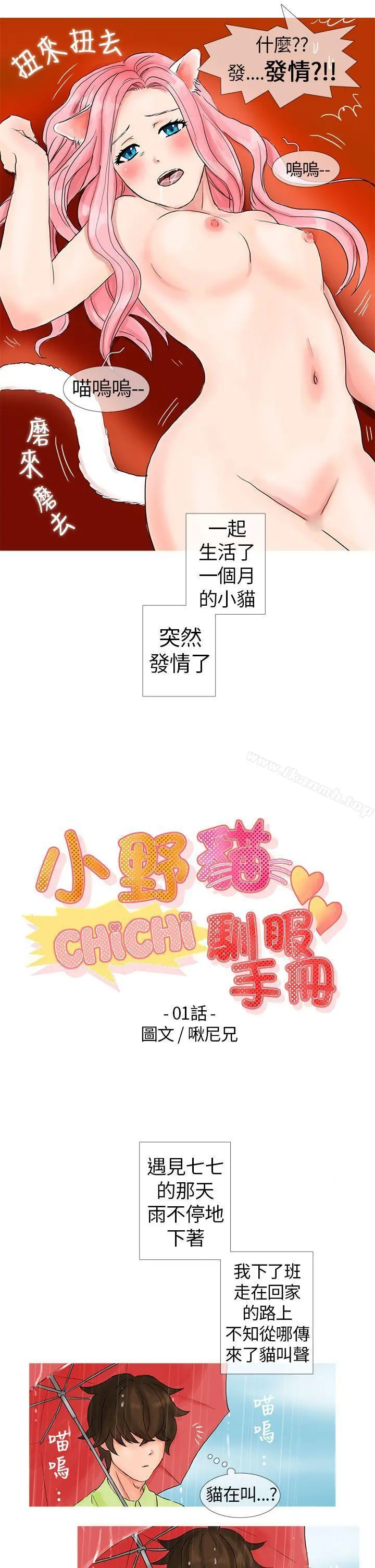 小野猫驯服手册 第1话 第3页