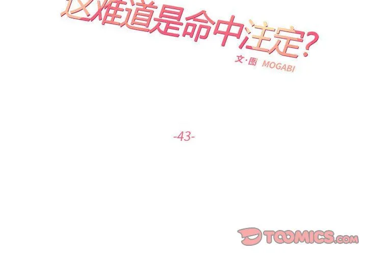 这难道是命中注定 第43話 第2页