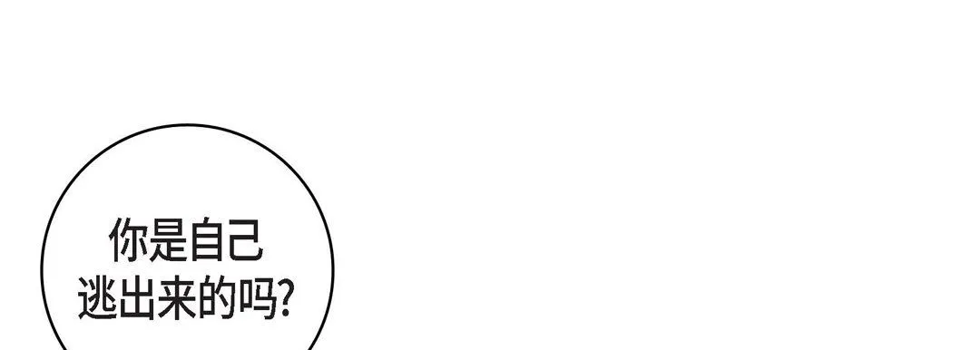 献给心脏 第16话 第177页