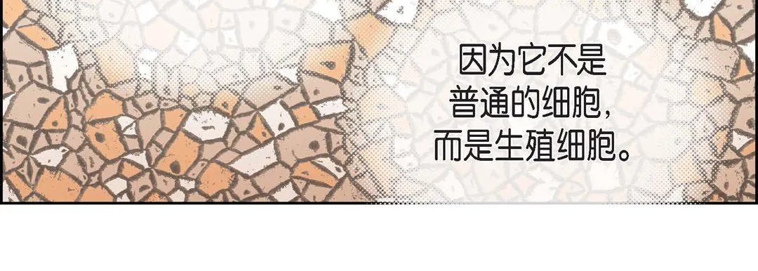 献给心脏 第79话 第55页