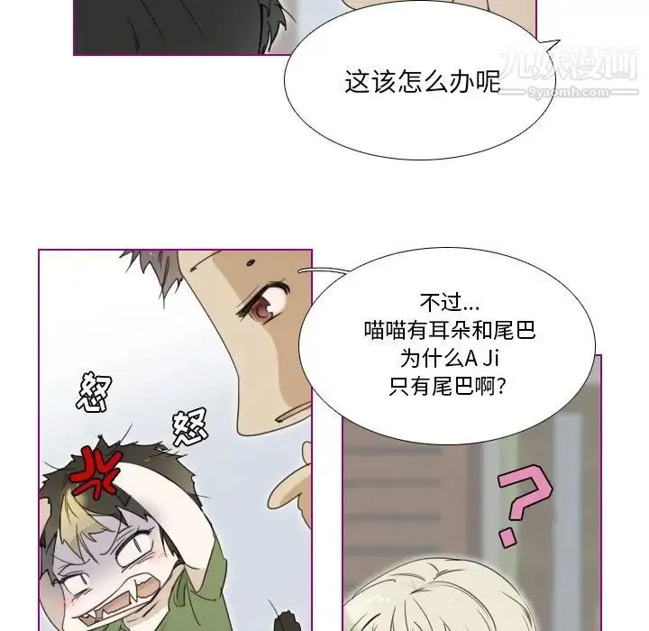 我的猫狗女友 第3话 第5页