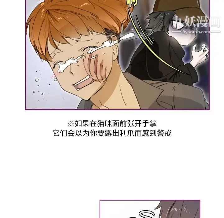 我的猫狗女友 第3话 第37页