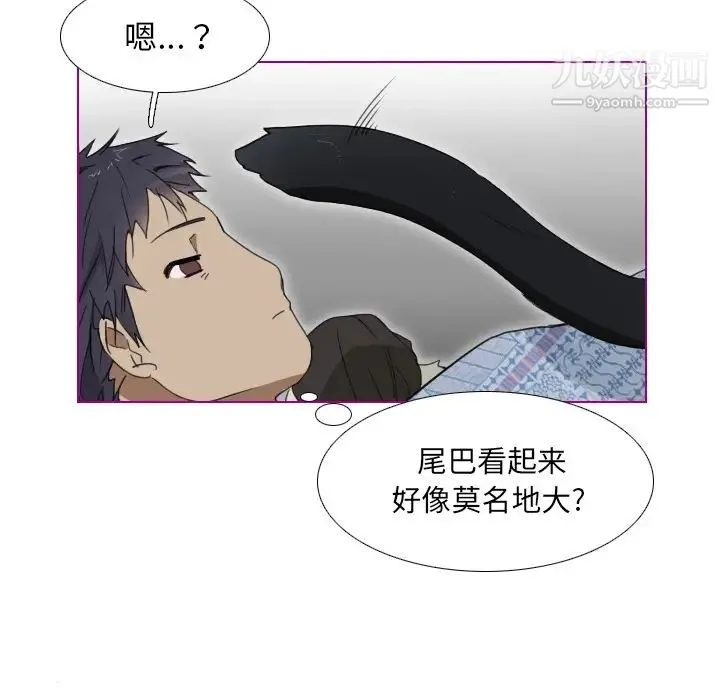 我的猫狗女友 第1话 第27页