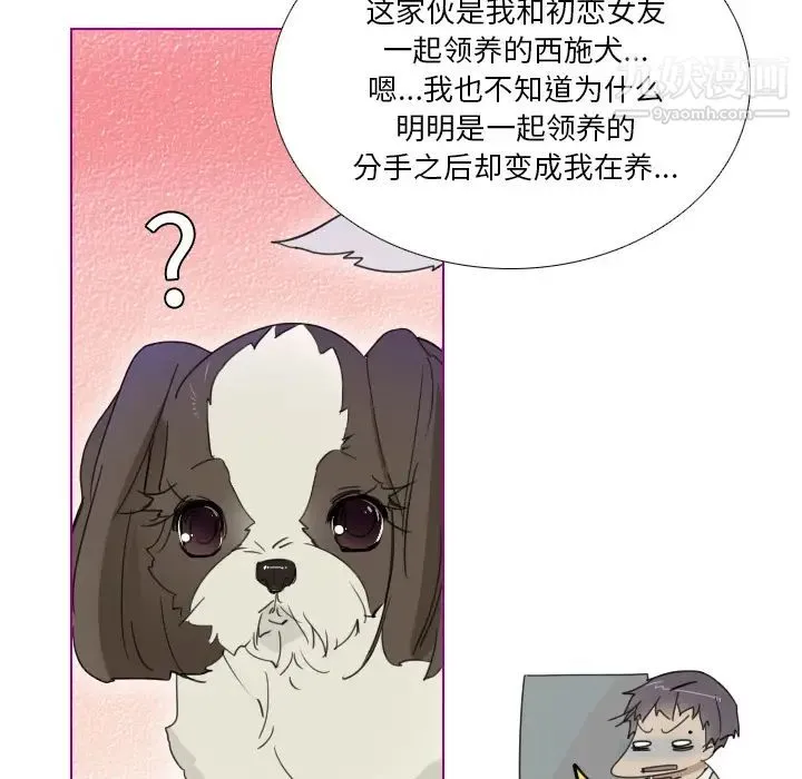 我的猫狗女友 第1话 第16页