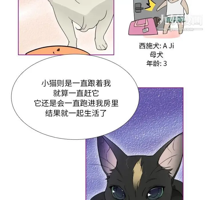 我的猫狗女友 第1话 第17页