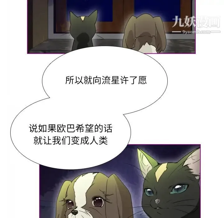 我的猫狗女友 第2话 第43页