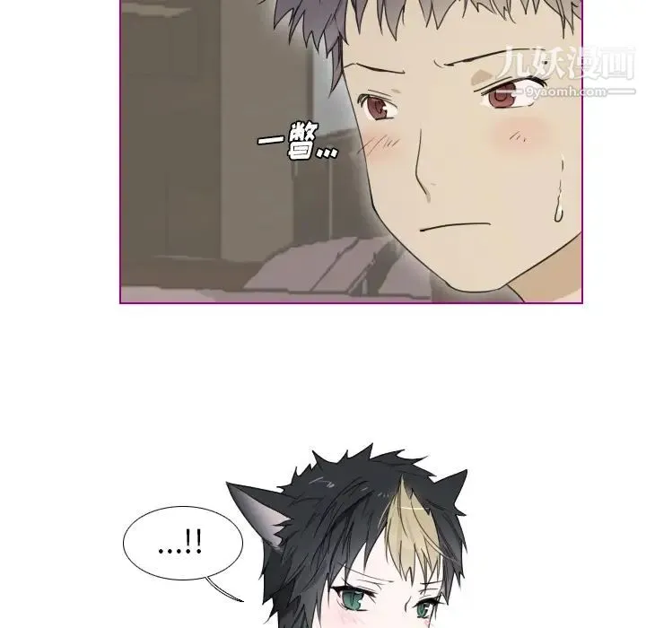 我的猫狗女友 第2话 第31页