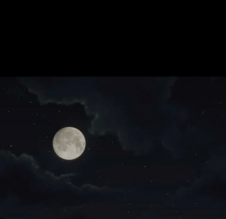 专属契约 第27章 第63页