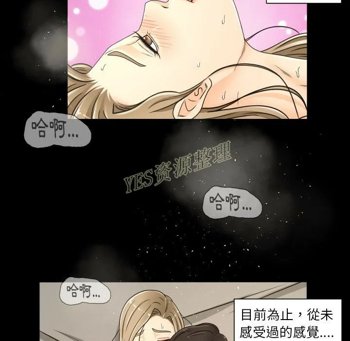 专属契约 第20章 第77页
