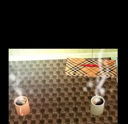 妻子的情人 第91章 第45页