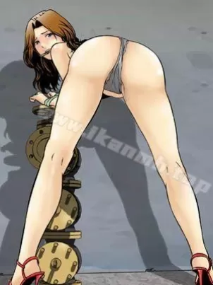 猪圈 封面