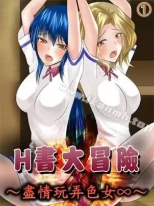 H书大冒险 封面